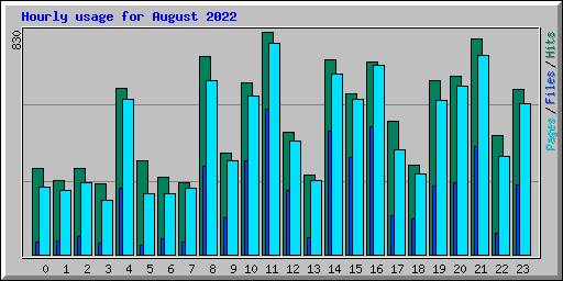 Hourly usage for August 2022